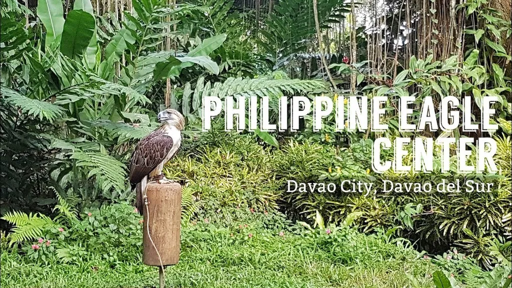 eagle park