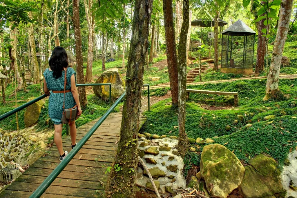 /images/tourist-spots/eden-park-gallery3.jpg